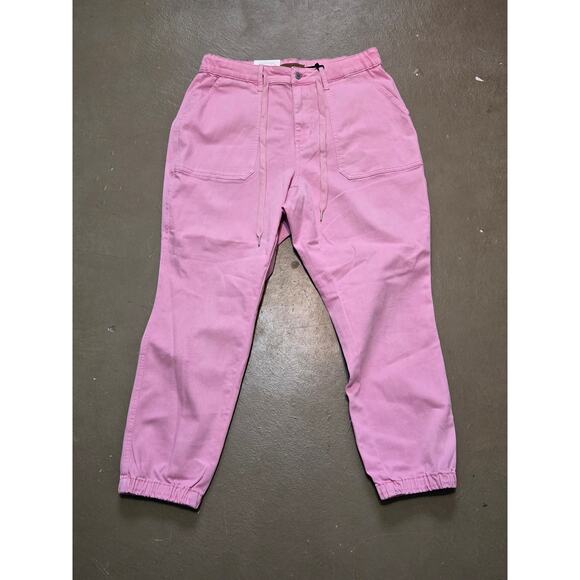 NWT‎ Judy Blue High Rise Garment Dyed Jogger Jeans in Pink Women's Size 16W - Picture 3 of 7